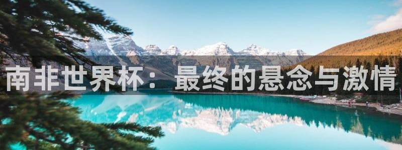 欧洲区世界杯预选赛:南非世界杯:最终的悬念与激情