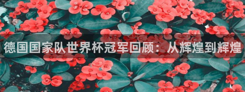 2026年世界杯直播平台:德国国家队世界杯冠军回顾:从辉煌到辉煌