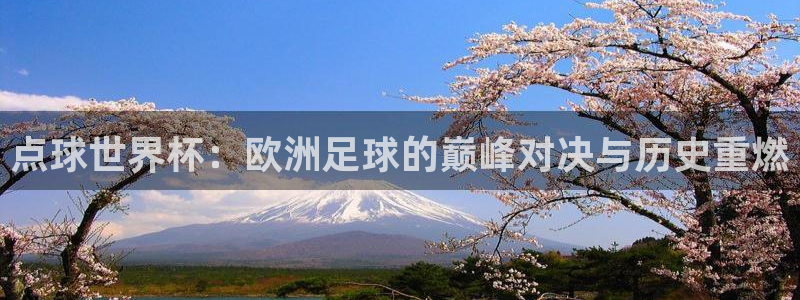 2026世界杯对阵图:点球世界杯:欧洲足球的巅峰对决与历史重燃
