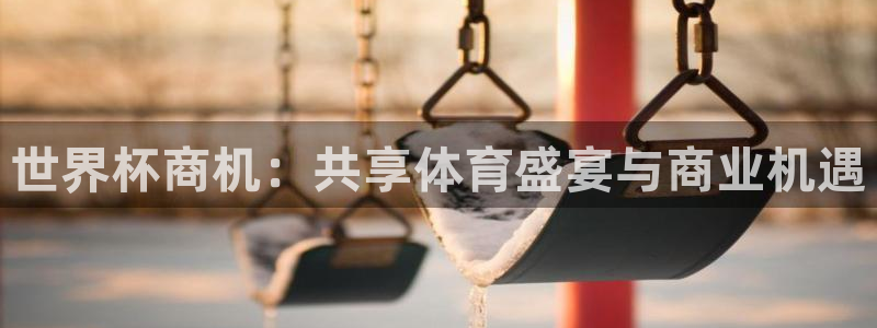 世界杯小组赛赛程:世界杯商机:共享体育盛宴与商业机遇