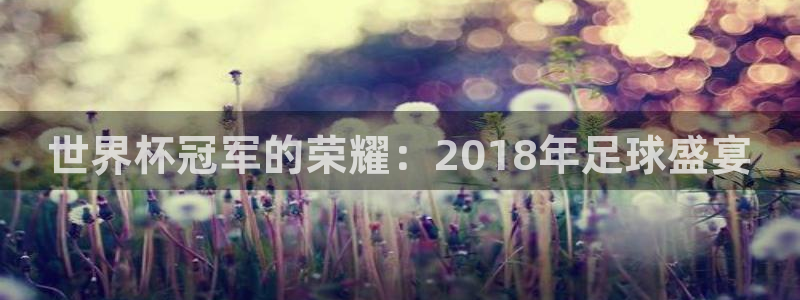男足世界杯预选赛赛程:世界杯冠军的荣耀:2018年足球盛宴