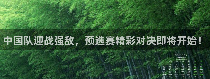 世界杯葡萄牙赛程:中国队迎战强敌,预选赛精彩对决即将开始!