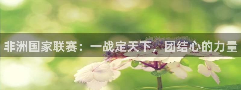 世界杯欧洲预选赛赛程:非洲国家联赛:一战定天下,团结心的力量